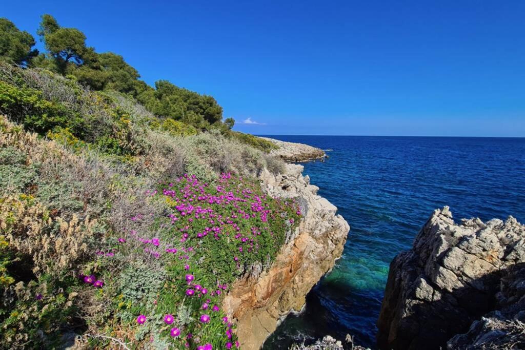 Casalionelantibes 70 Sqm Apartment With Garden And Parking Antibes Exterior foto