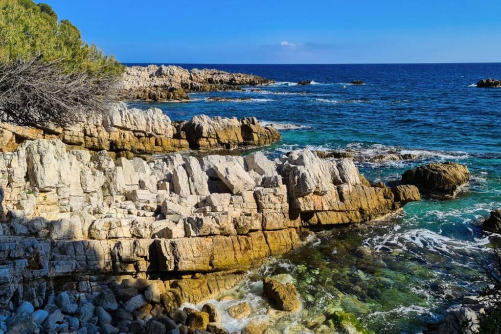 Casalionelantibes 70 Sqm Apartment With Garden And Parking Antibes Exterior foto